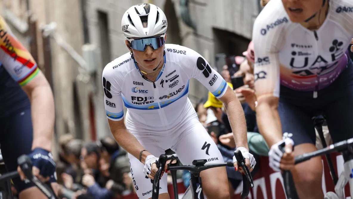 Domestique tweet media