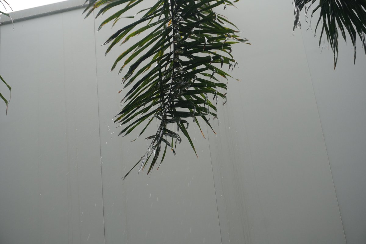 Medio Ambiente UPV tweet media