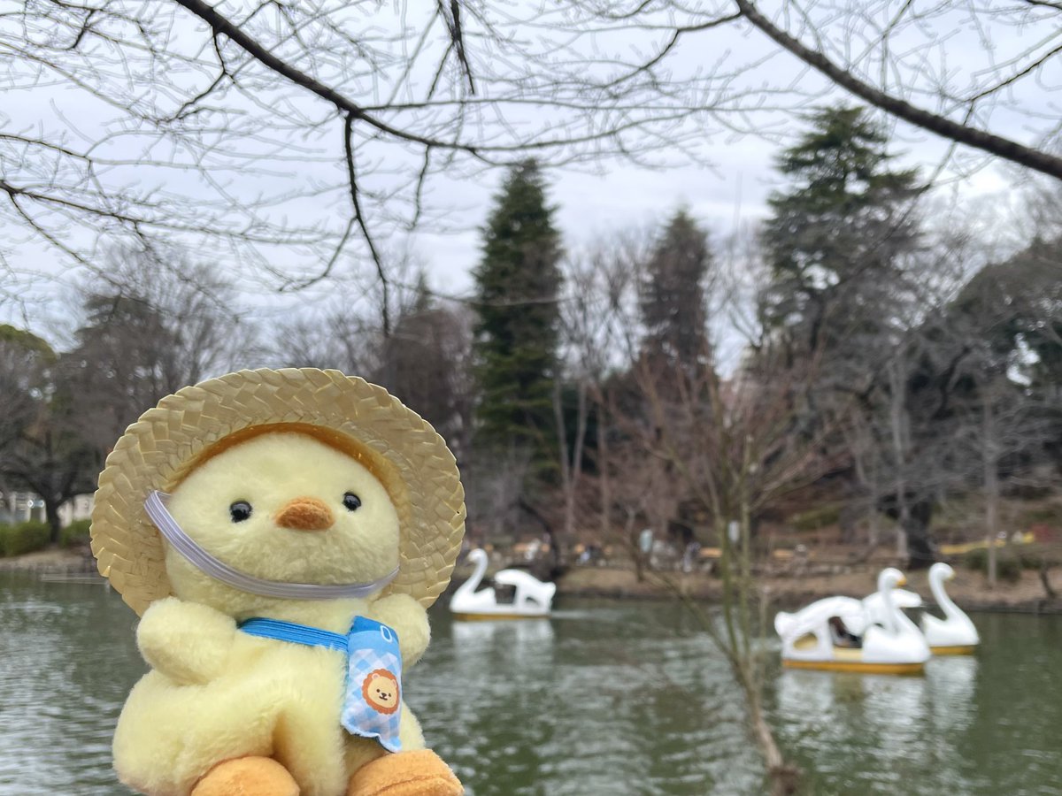 KasteraHighway's tweet photo. 🦢﹏ https://t.co/y6J09c1r4o