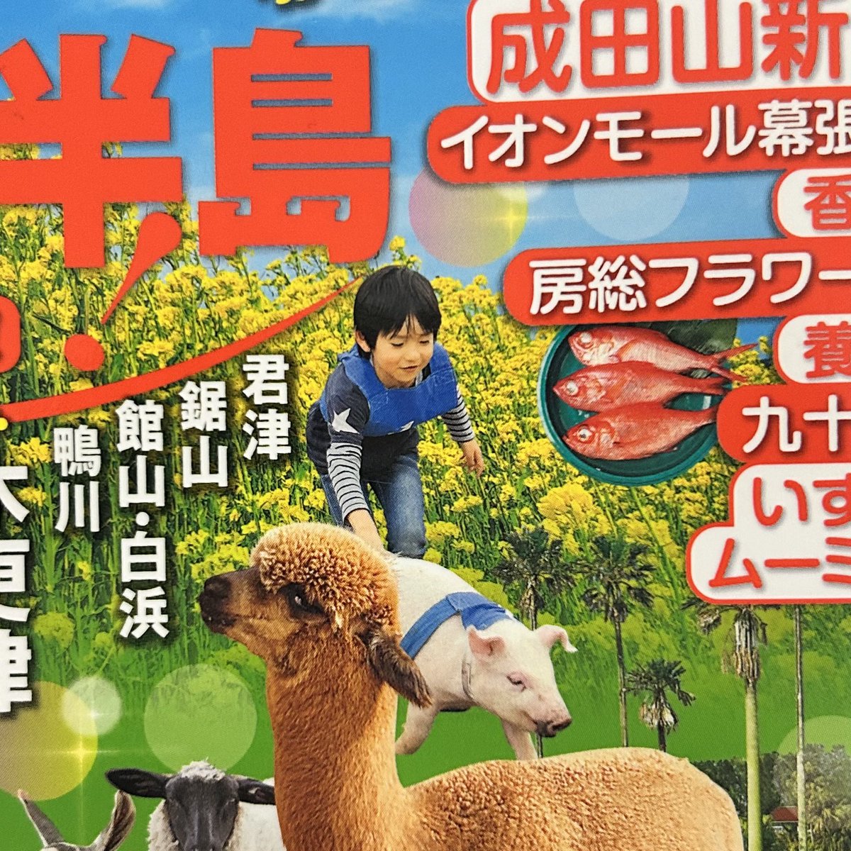 木村来士&STAFF🐘 tweet media