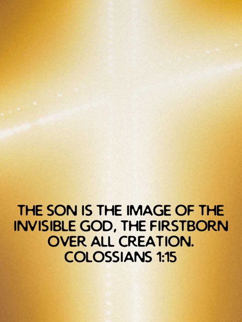 Ryan Rhoades tweet media