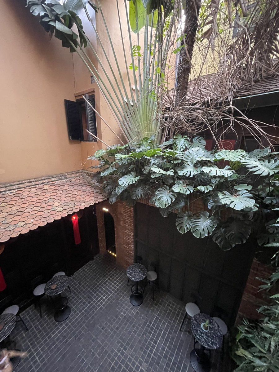 dork👾 tweet media