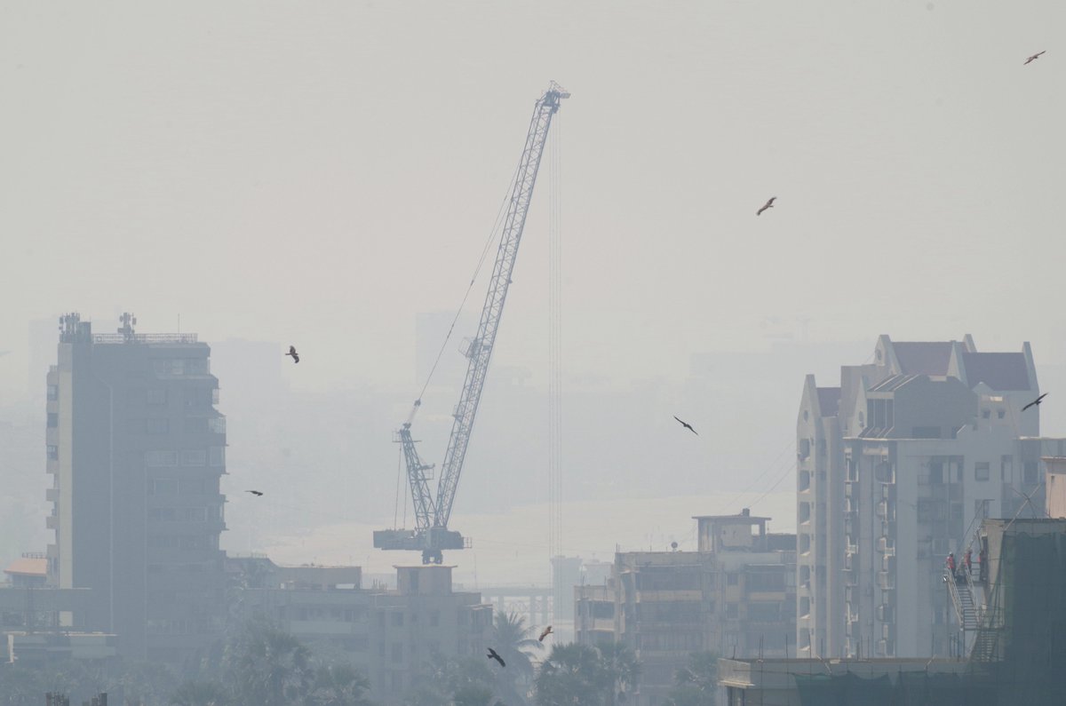 Subuhi Jiwani tweet media