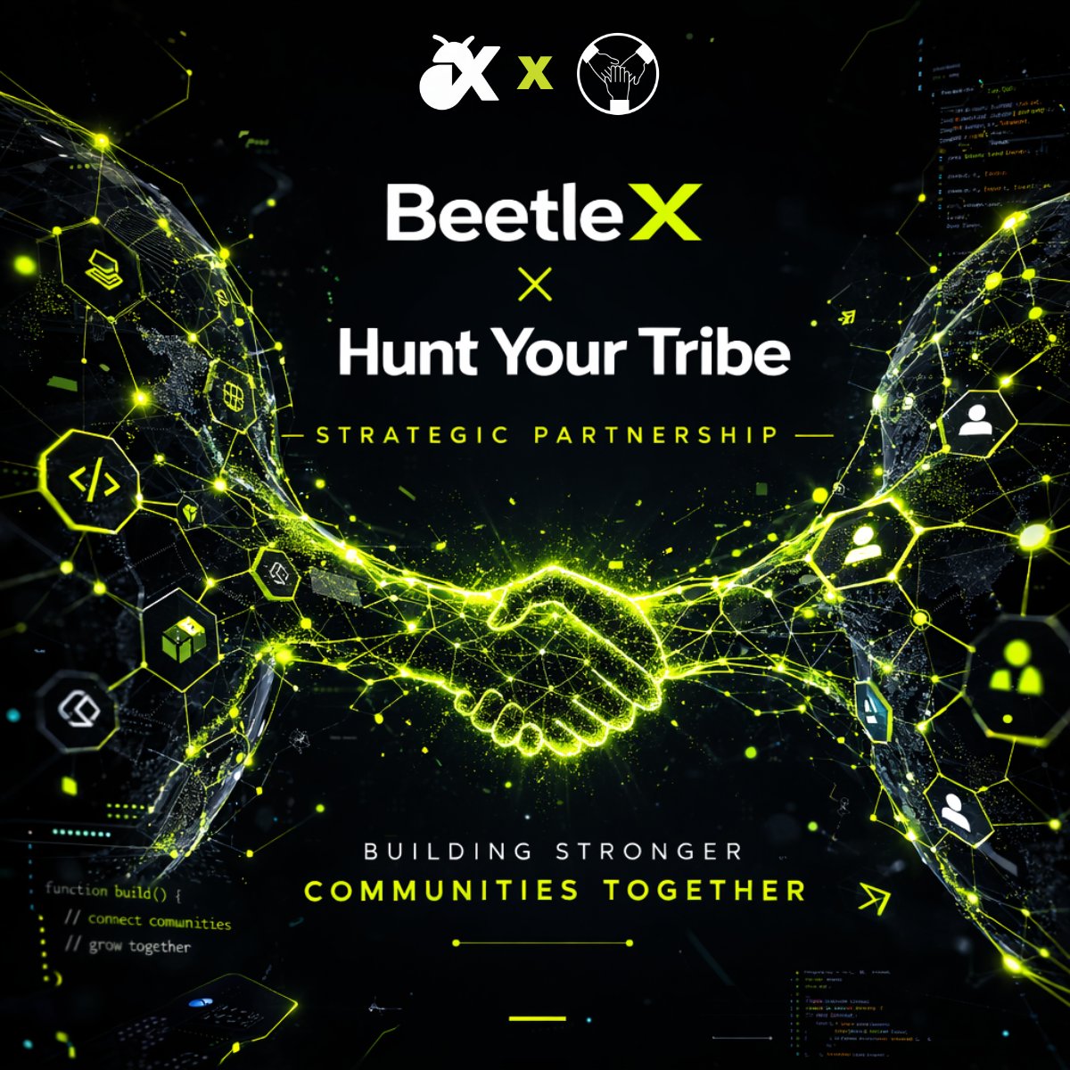 BeetleX tweet media