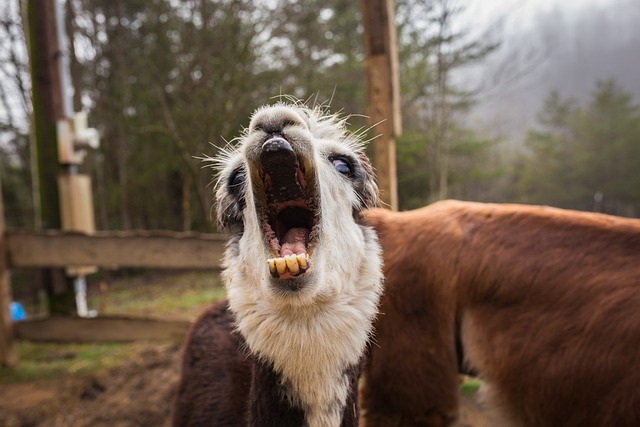 Mindy Reed tweet media