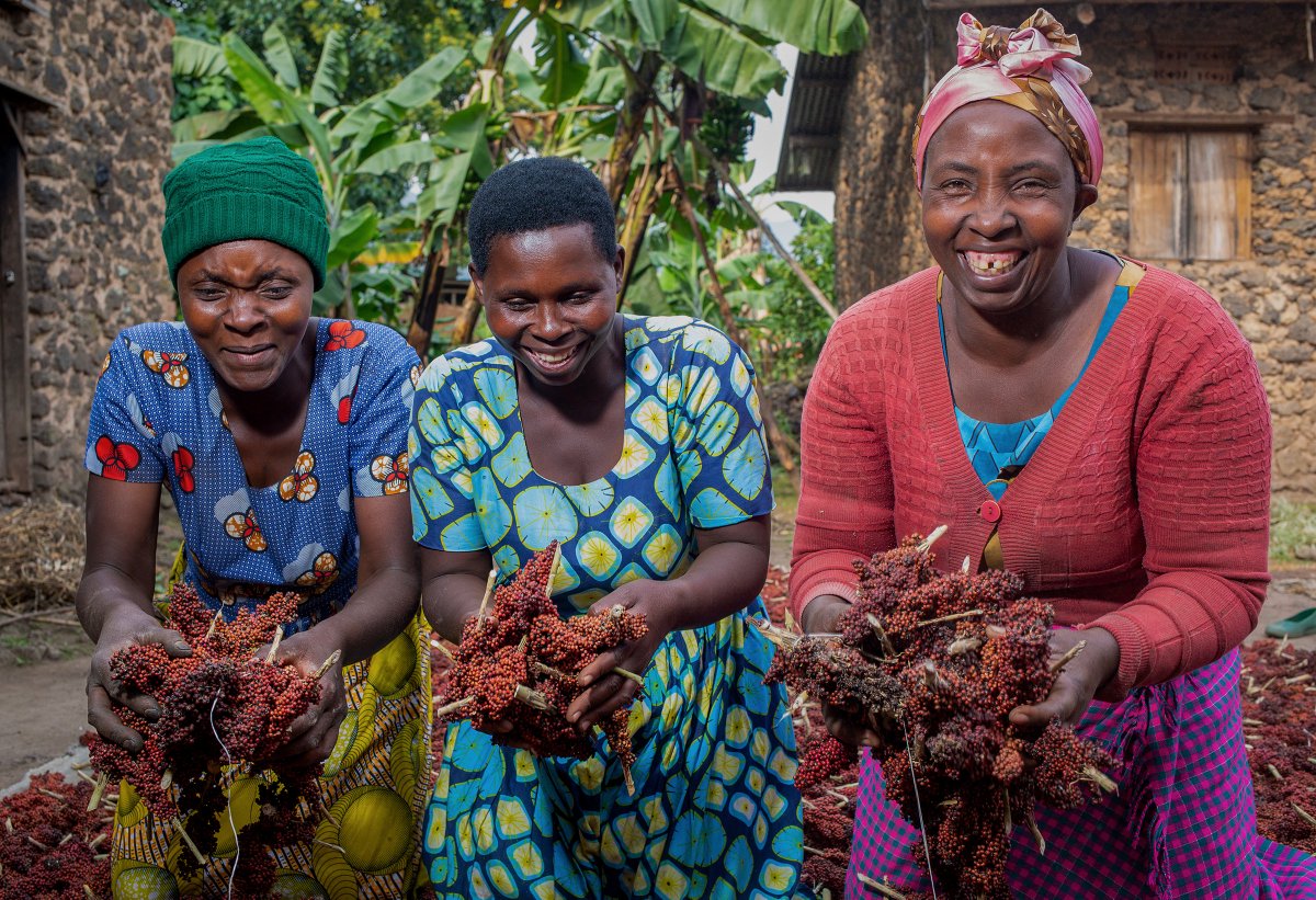 ESAFF Uganda tweet media