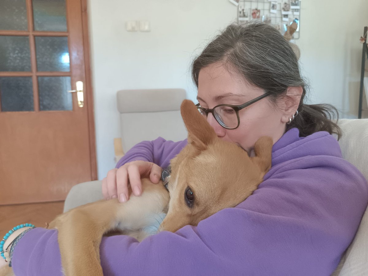 Bu kadar etkileşim almasına rağmen bir kişinin bile yazmamış olmasına üzüldü Liliy kızım. Ona ömürlük yuva olup yüzünü güldürecek kimse çıkabilir mi artık lütfen?