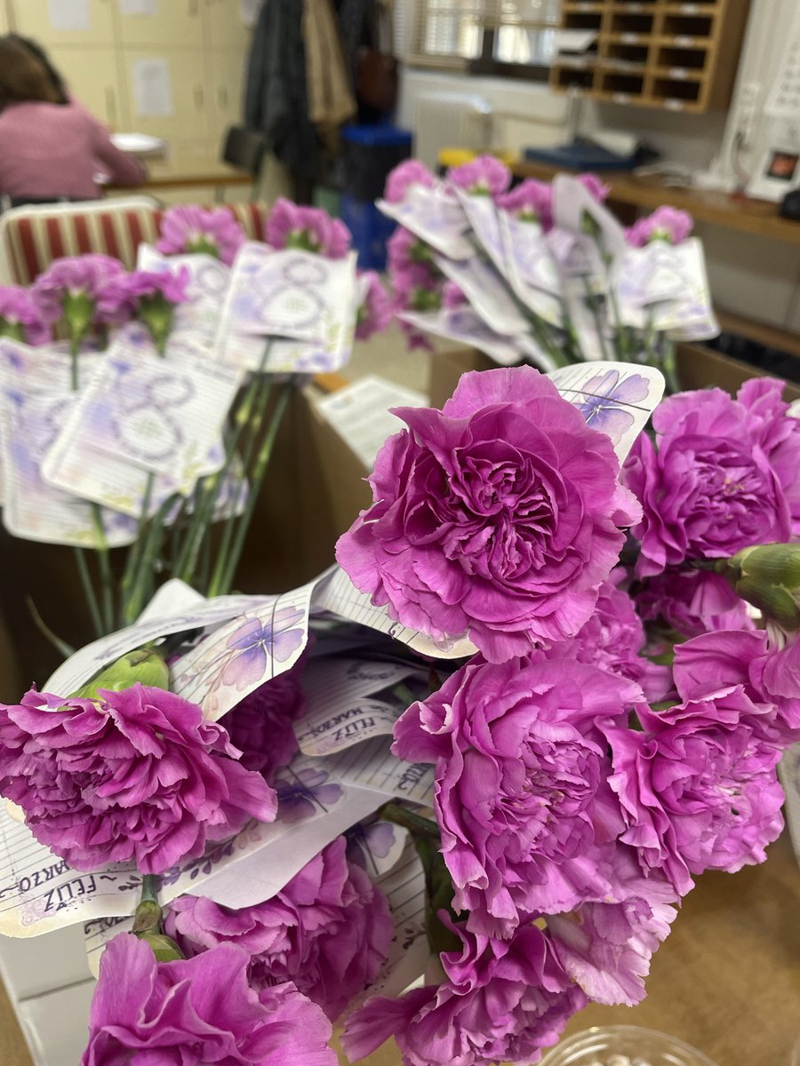 IES Legio VII tweet media