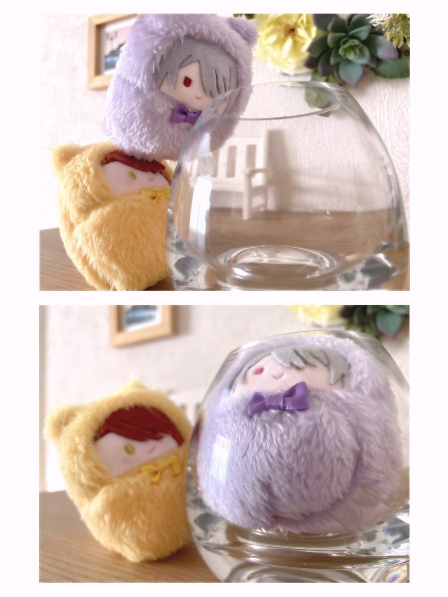 ねこは液体……？

#まほやく_ぬい