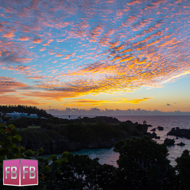ForeverBermuda tweet media