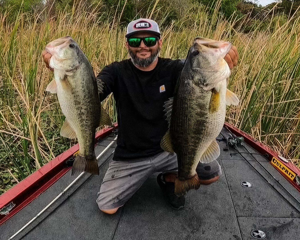 Culprit Fishing tweet media