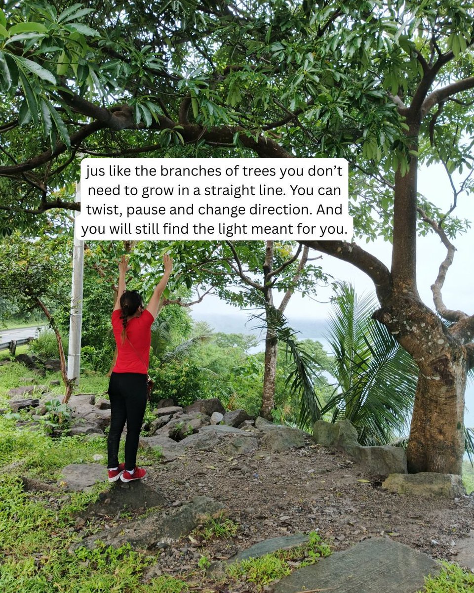 LenWICO's tweet photo. Even branches bend and change direction, yet they still reach the sunlight. So will you. 

#KeepGrowing
 #TrustYourJourney
 #ReachForTheLight
 #GrowthMindset 
#StayStrong
 #YourPathYourPace https://t.co/3YPgmGEx2d