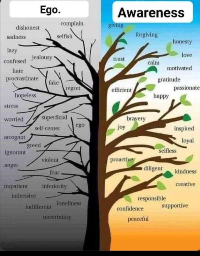 mindfulmaven_'s tweet photo. https://t.co/FZjj2FLdmS