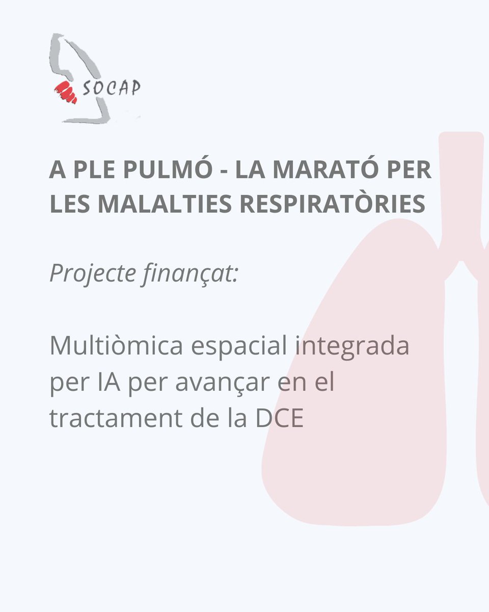 SOCAP 🫁 tweet media