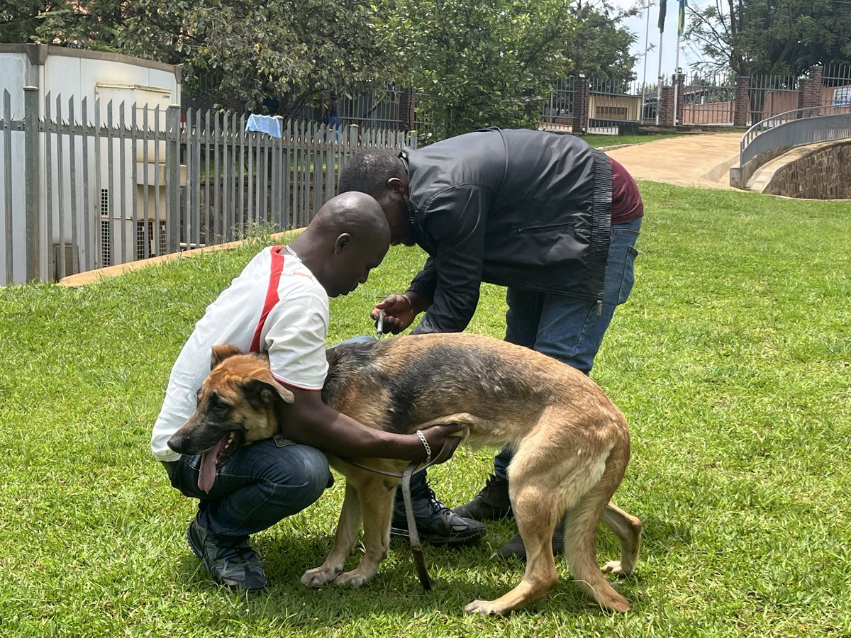 Nyakabanda Sector tweet media