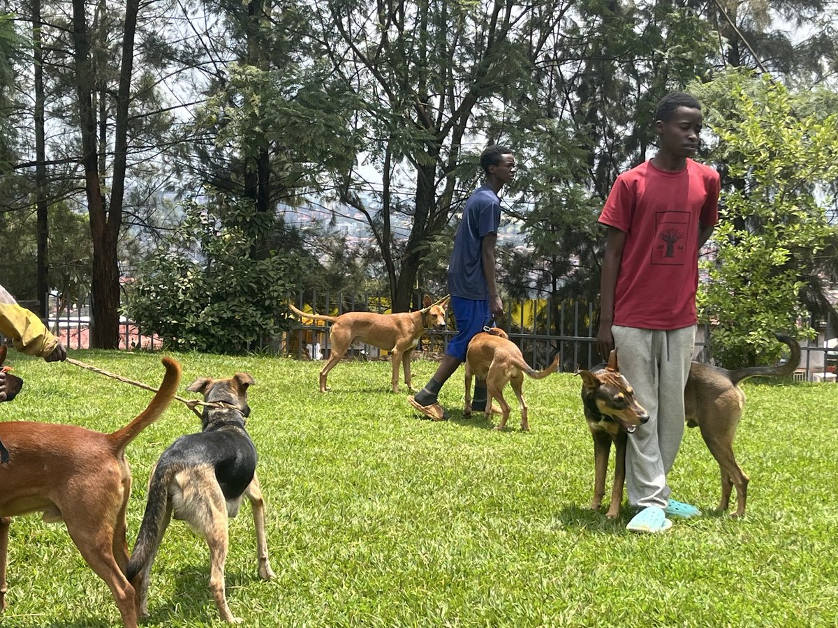 Nyakabanda Sector tweet media