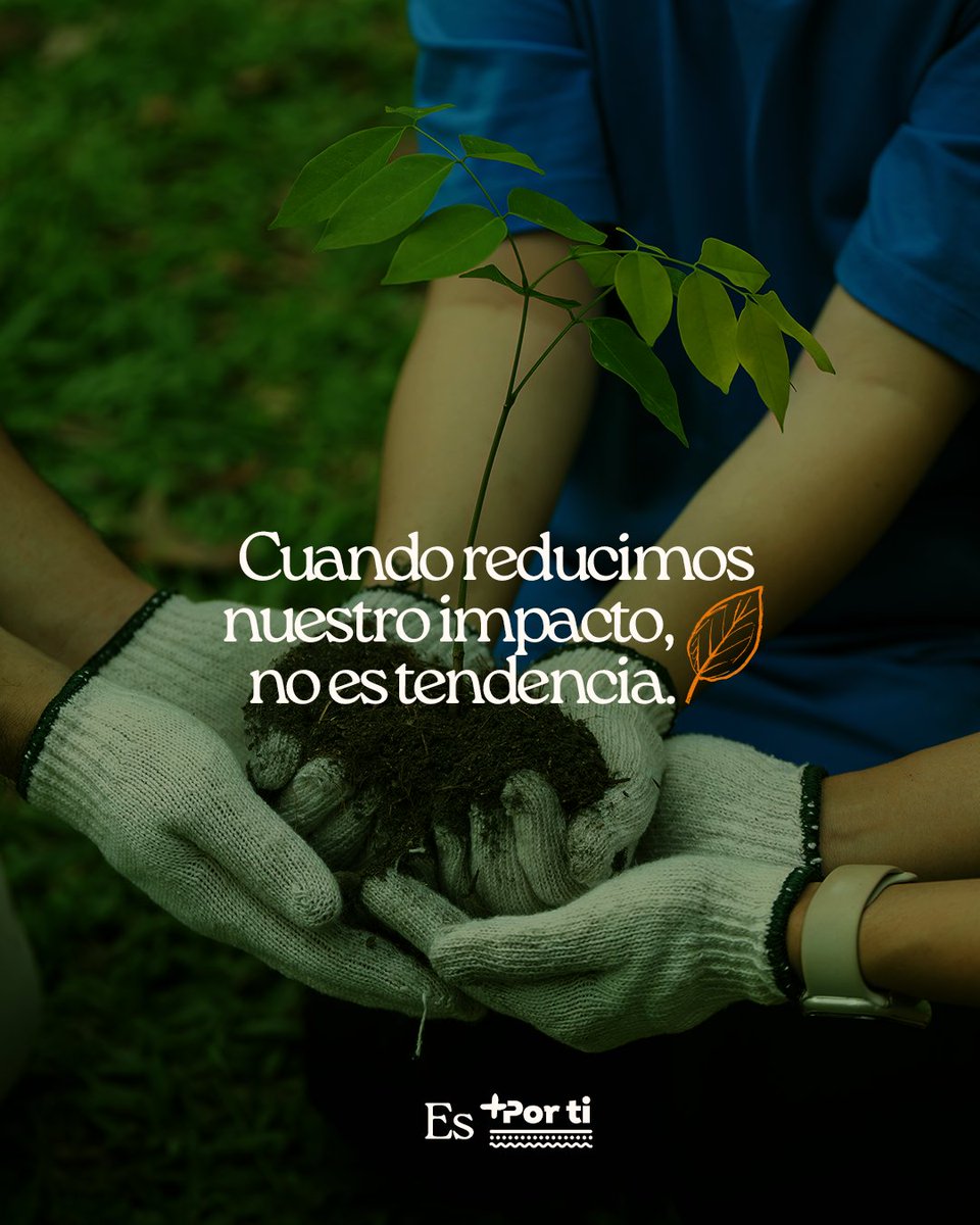 Lupa Supermercados tweet media