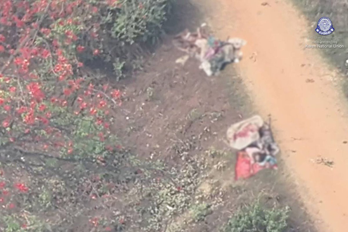 Saw Nimrod from Burma tweet media