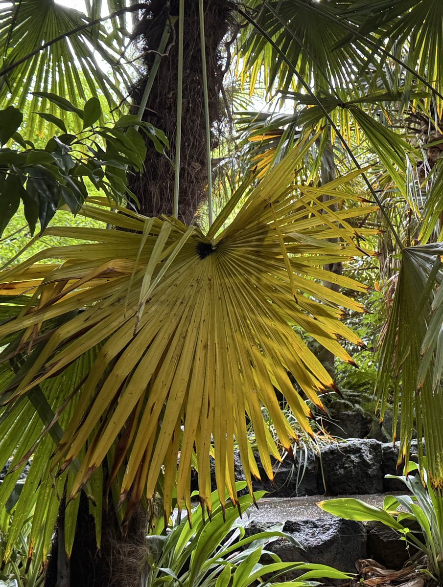 Beth Monroe of Melbourne tweet media