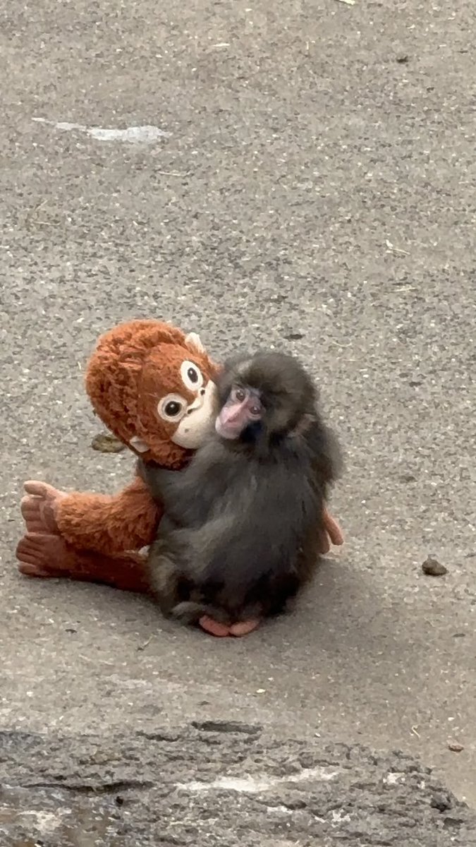 Beautiful views (@magicalnature5) on Twitter photo 