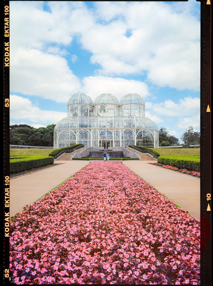 nomadic 🎞️ tweet media