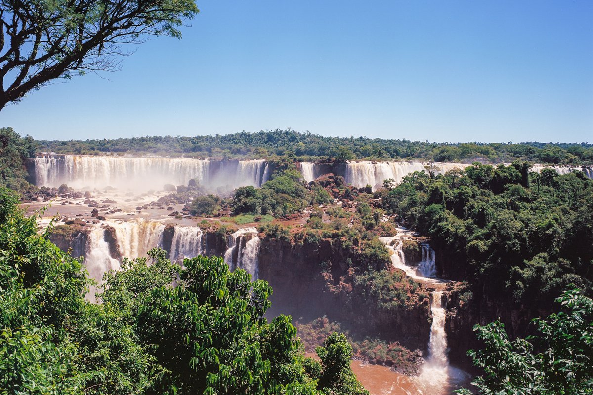 nomadic 🎞️ tweet media