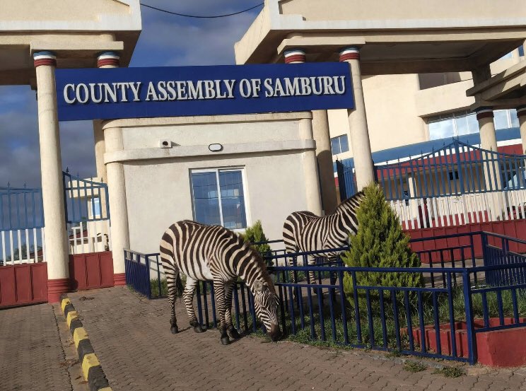 Sam L. Lenaibalatia 🇰🇪 tweet media