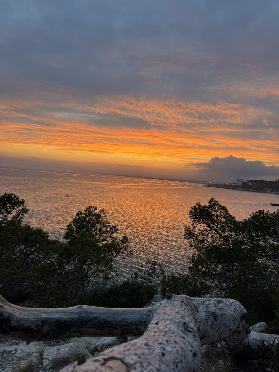 VisitSalou tweet media