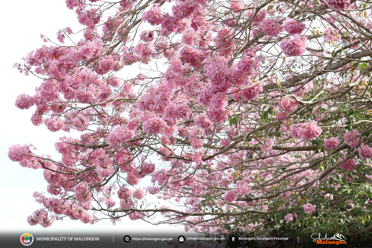 Philstar.com tweet media