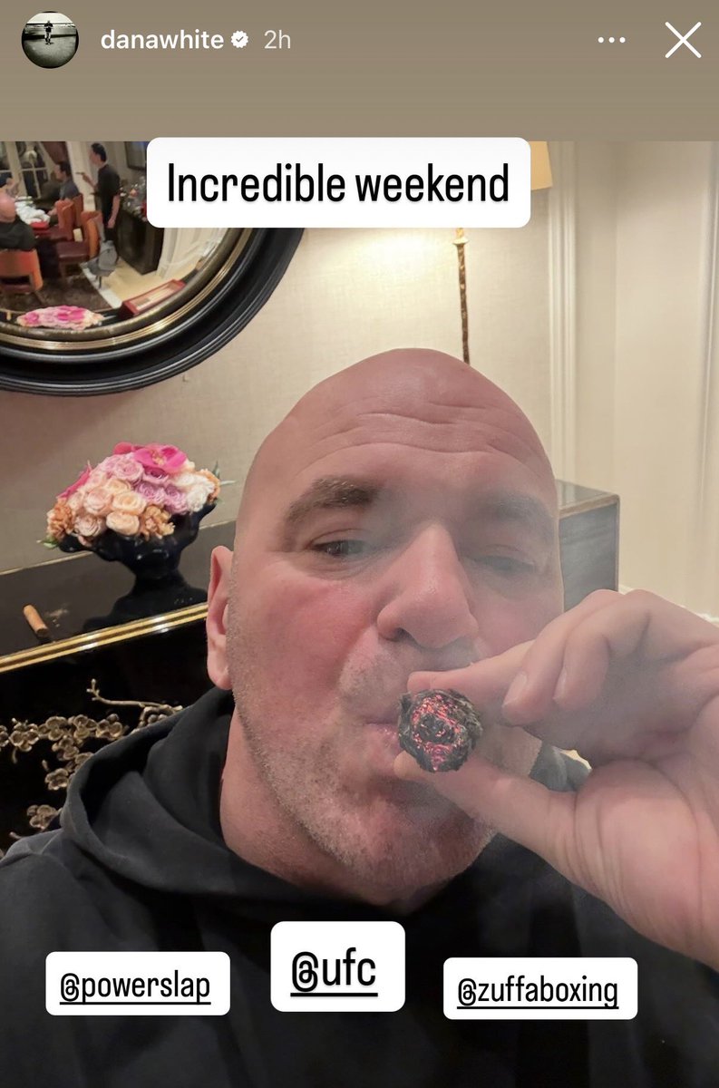 MMA Orbit tweet media