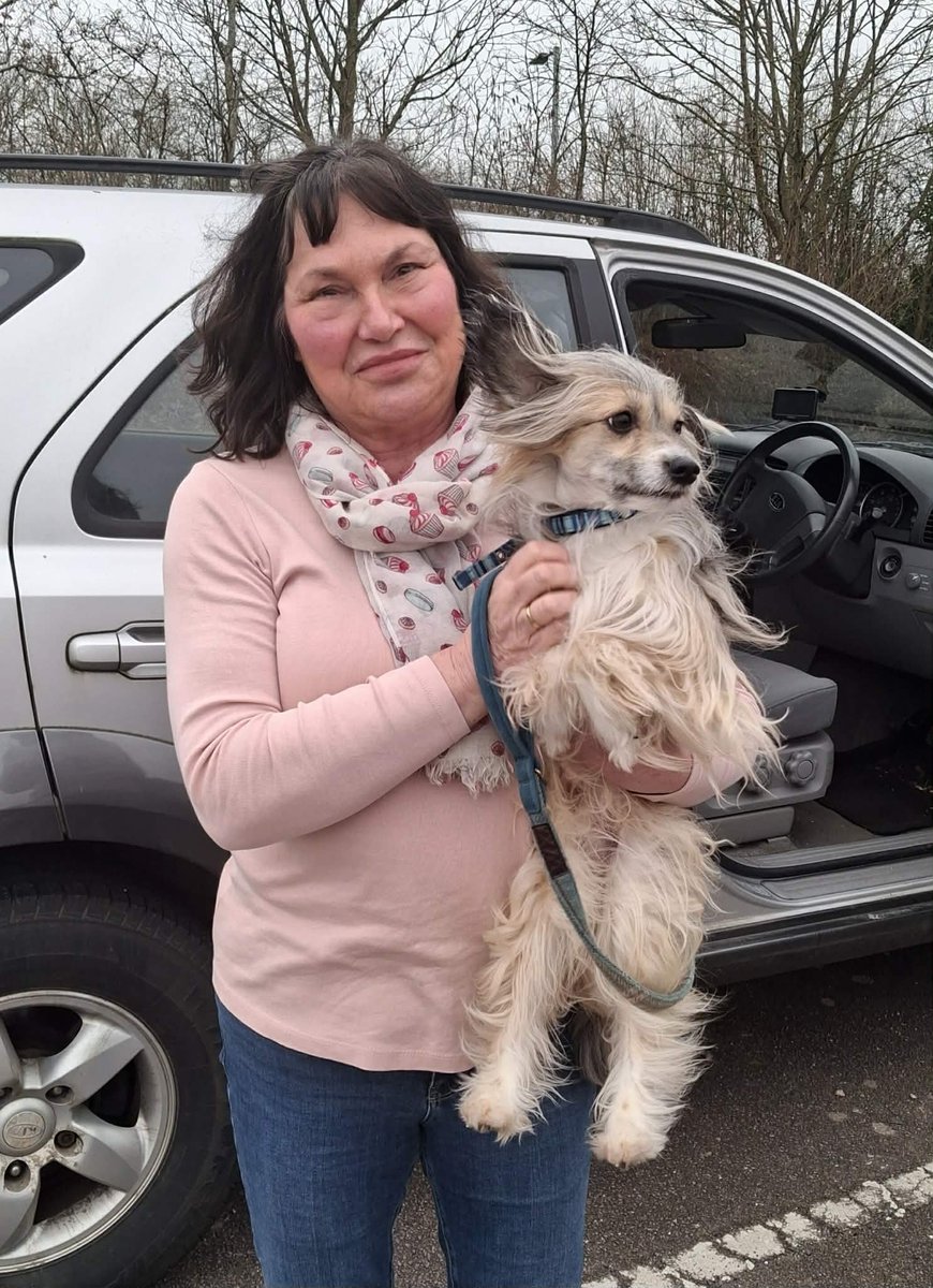 The Chinese Crested Club Of Great Britain Rescue tweet media