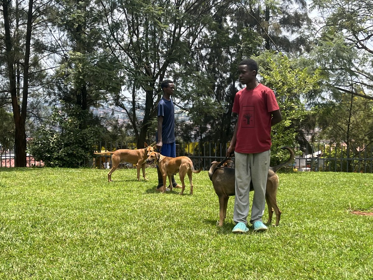 Nyakabanda Sector tweet media