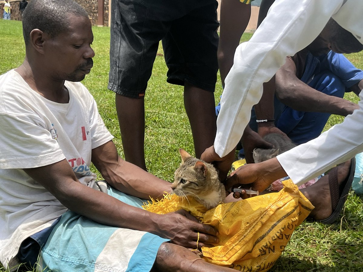 Nyakabanda Sector tweet media