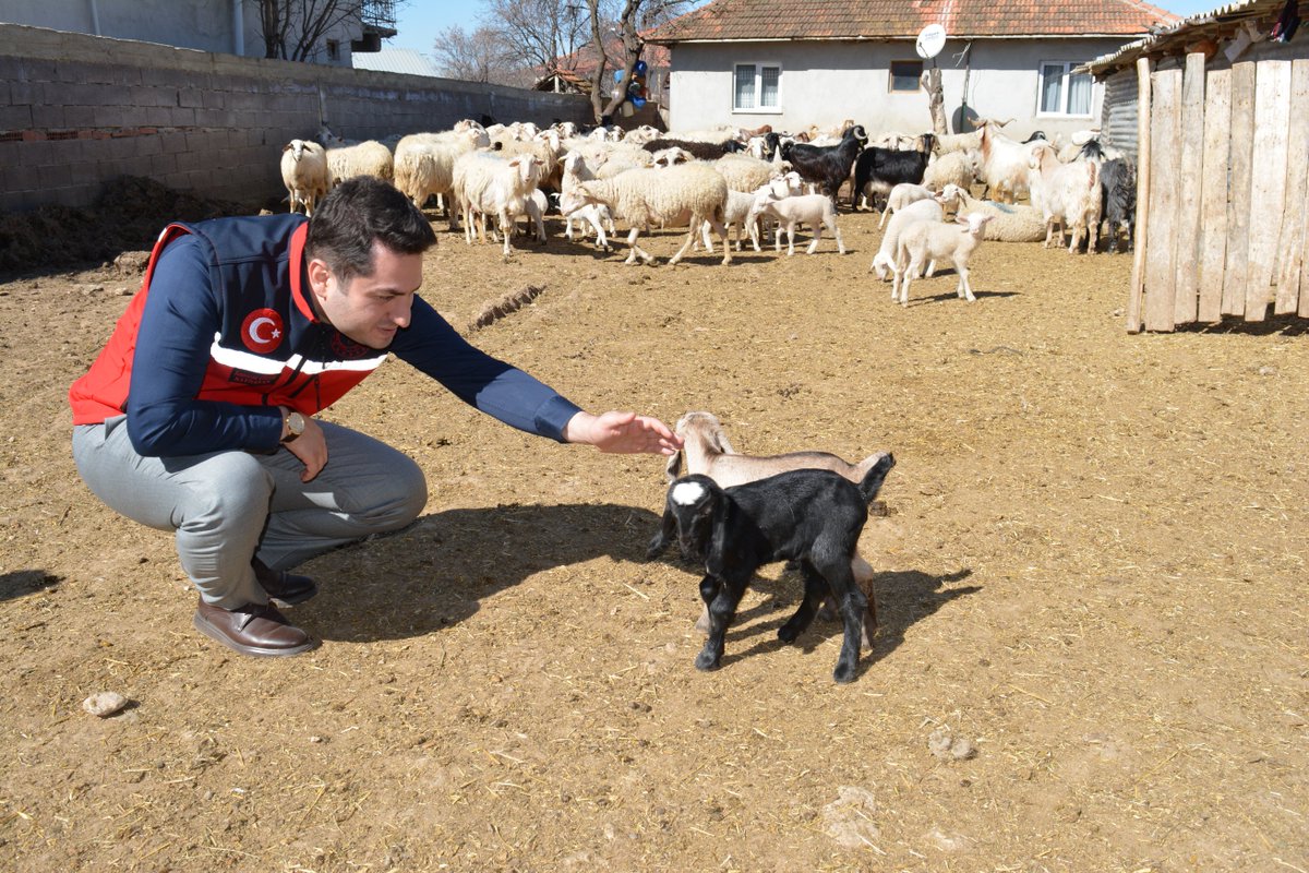 Kaymakamımız Sn. Ramazan Çelebi, Alfaklar ve Karayakuplu köylerimizde İl Özel İdaresi tarafından yapılması planlanan çalışmalarla ilgili incelemelerde bulundu.
Ziyaret sırasında hayvancılıkla uğraşan vatandaşlarımızla da sohbet eden Kaymakamımız, talep ve görüşlerini dinledi.