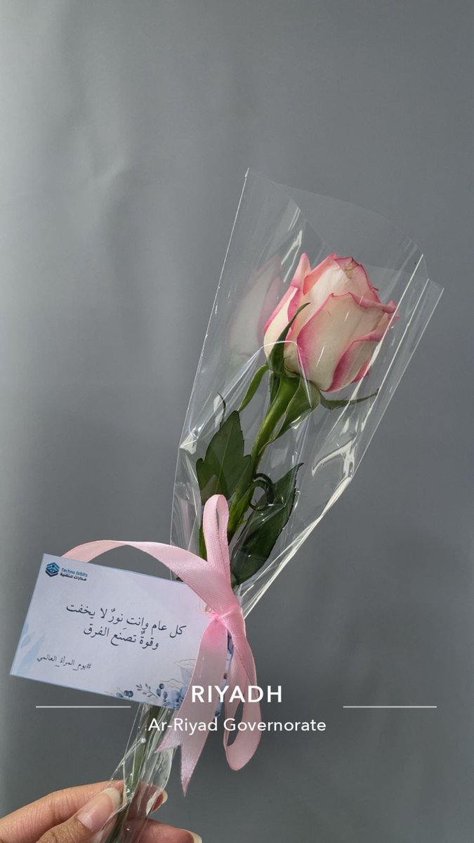 Techno Orbits Co. tweet media