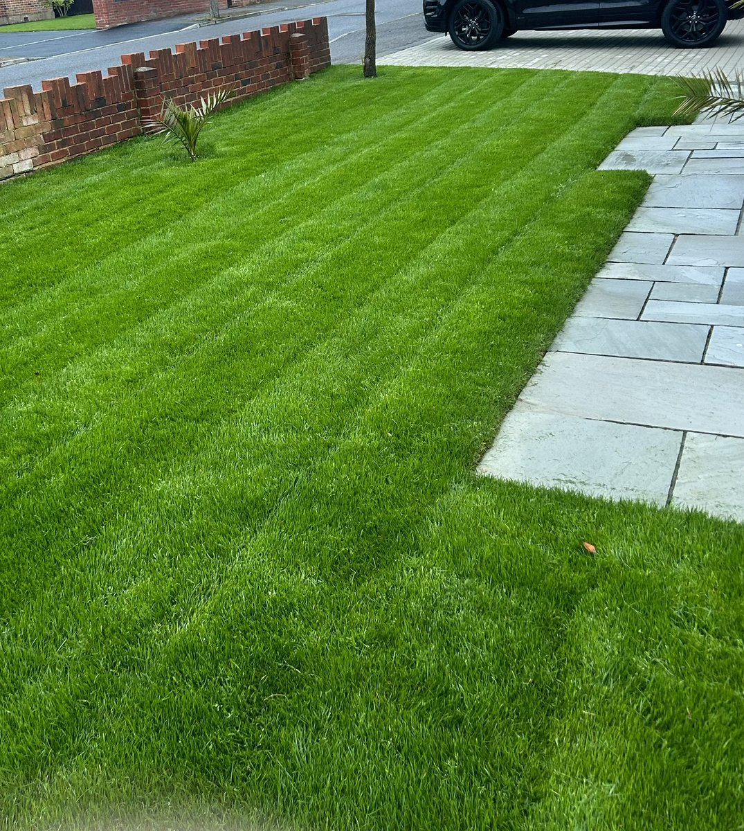 Deb🖤🤍🍒 tweet media