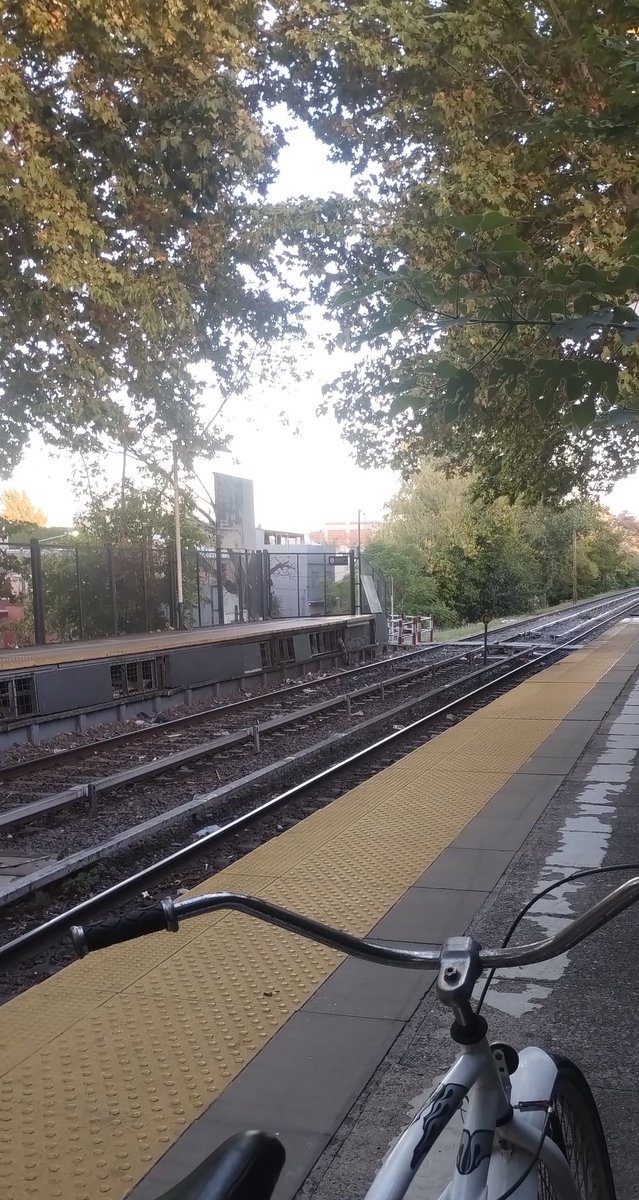 ᚲᚨᚱᛚᚨ tweet media