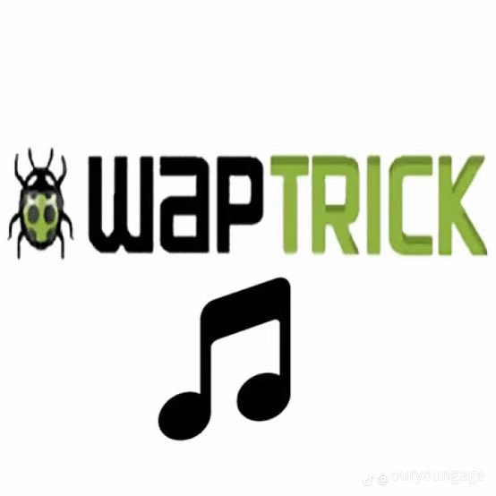 Whitey 💫 tweet media