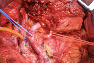 Eduardo A. Vega tweet media