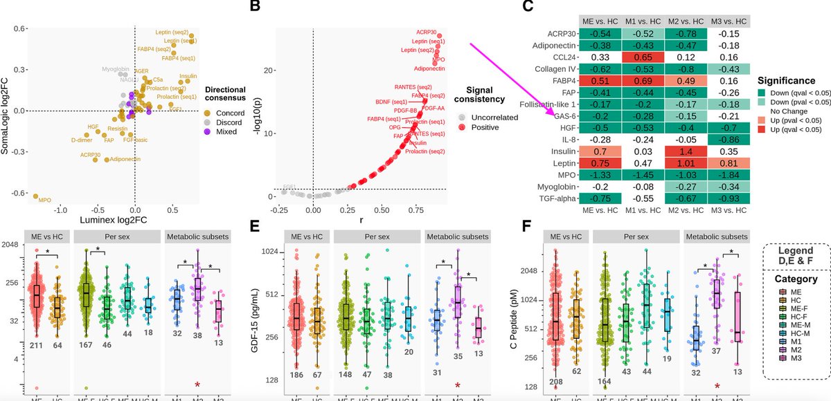 Efthymios Kalafatis tweet media