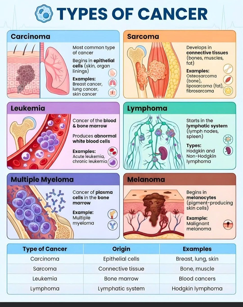 MedicKnowledgeX's tweet photo. https://t.co/eoziR1JSei