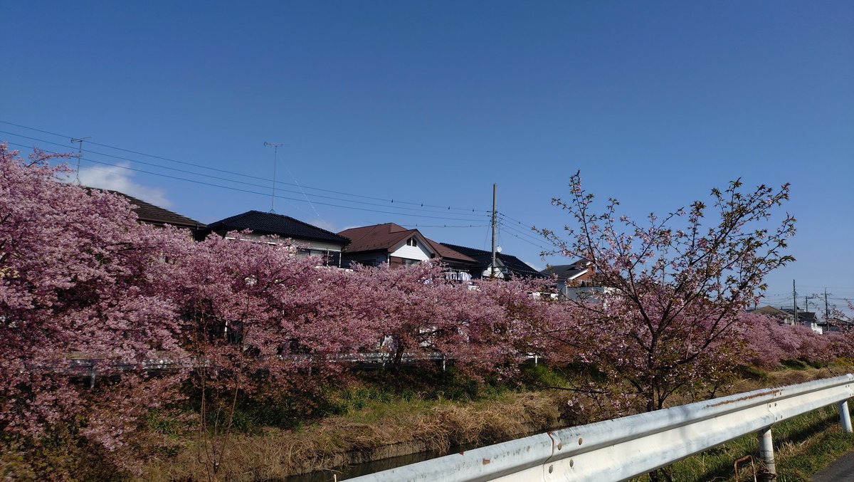 ジャングル記念日 アニメファン専用スナック tweet media