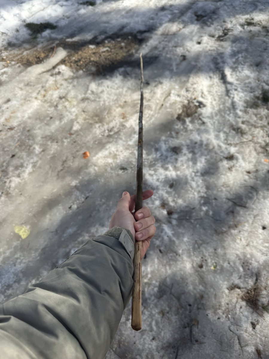 Sonic The Hugecock🔱 tweet media