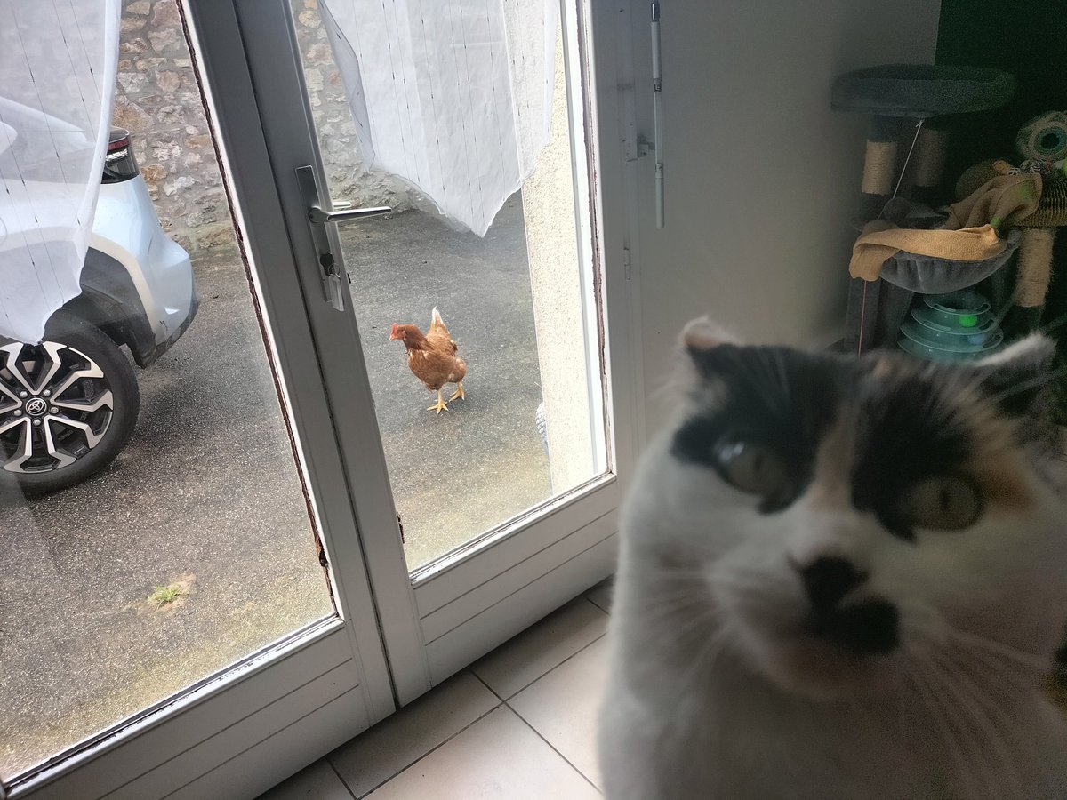 Azertium tweet media