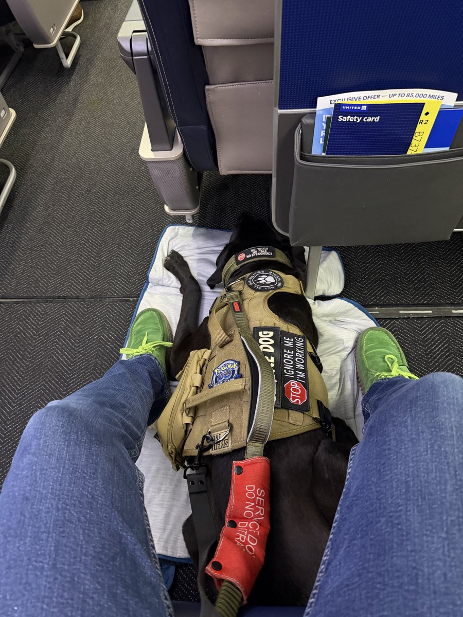 Derk | 🐕‍🦺 ➡️ Anaheim tweet media