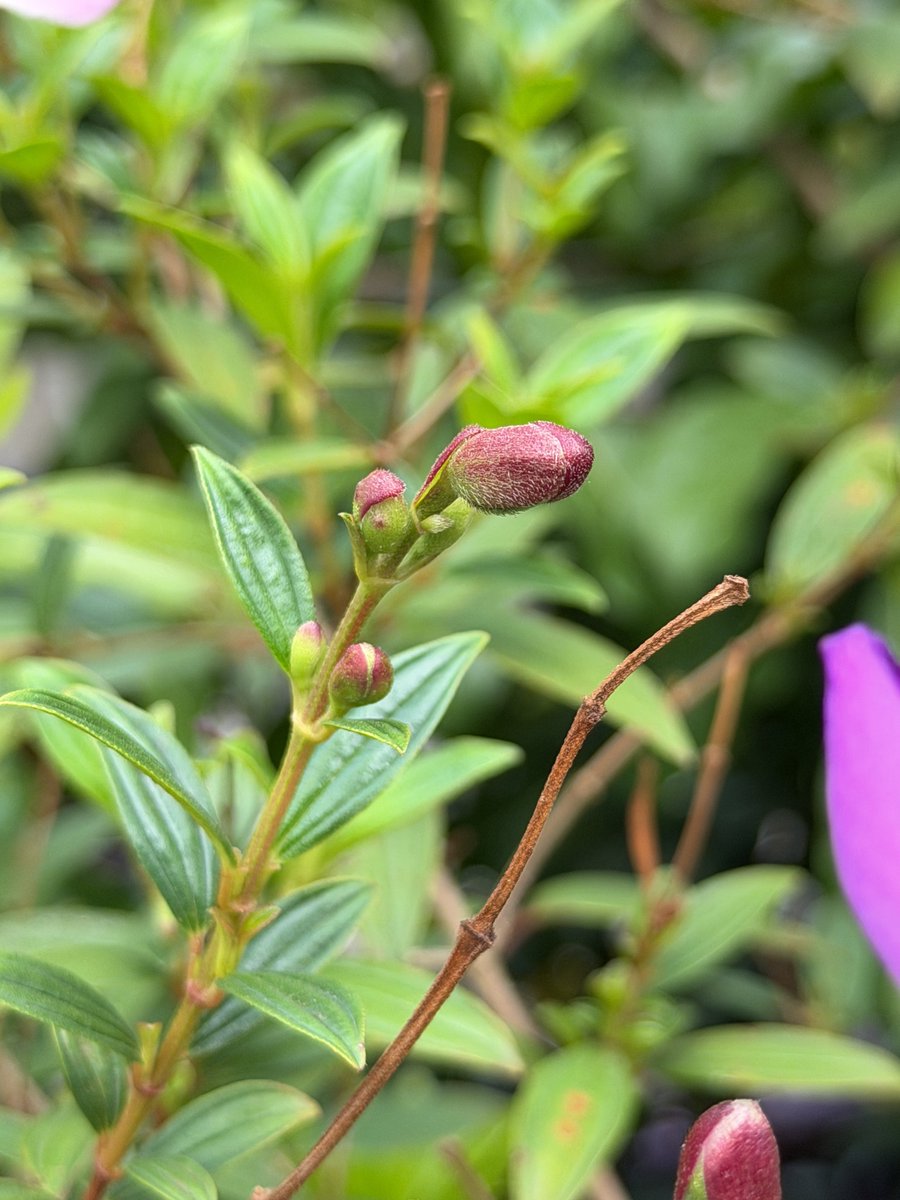 Sharon Bava tweet media