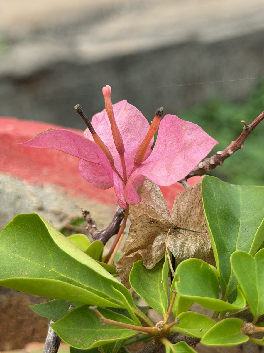 Sharon Bava tweet media