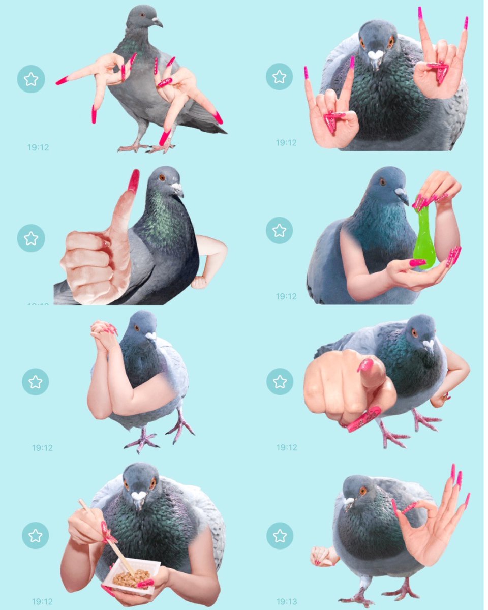 販売開始されました。心優しい皆様ネイル鳩をかわいがってあげて