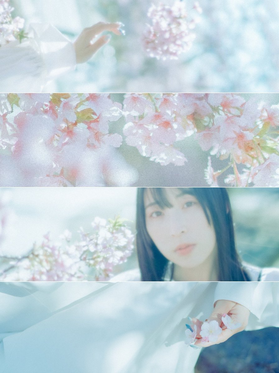 彩川 菜々ฅ'' tweet media