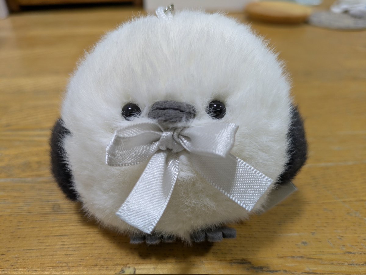 仕事頑張ったので、前から欲しかった子をお迎えしました。